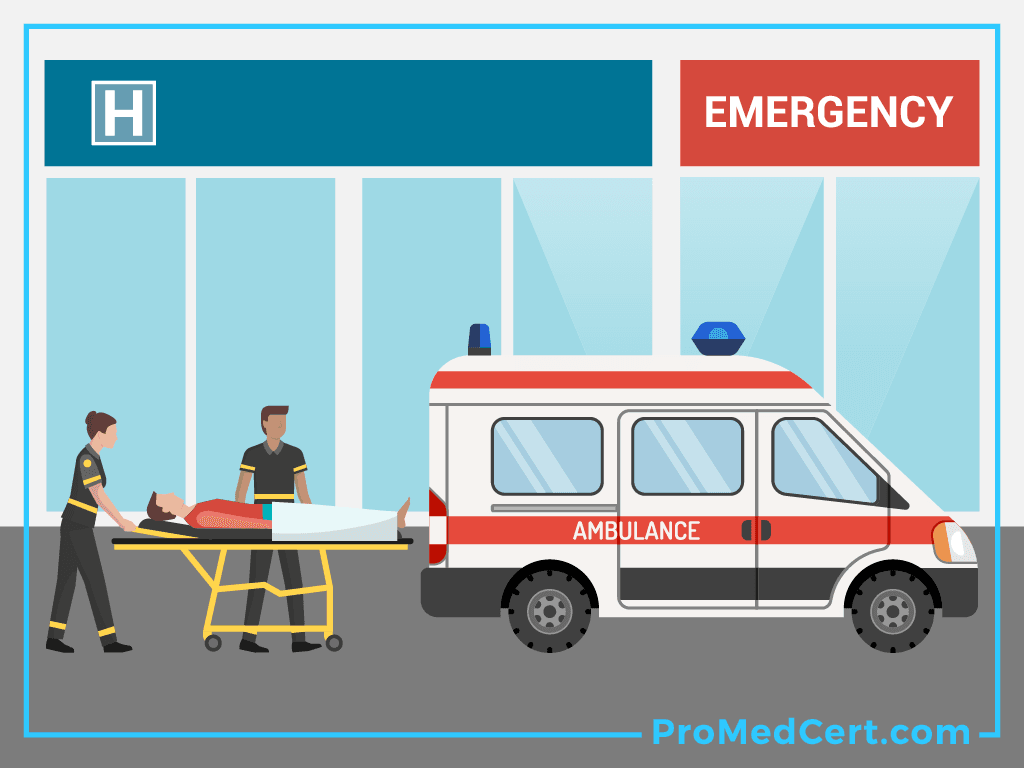 The-Role-Of-an-EMT-Emergency-Medical-Technician-ACLS-BLS-PALS-CPR-ProMedCert.com