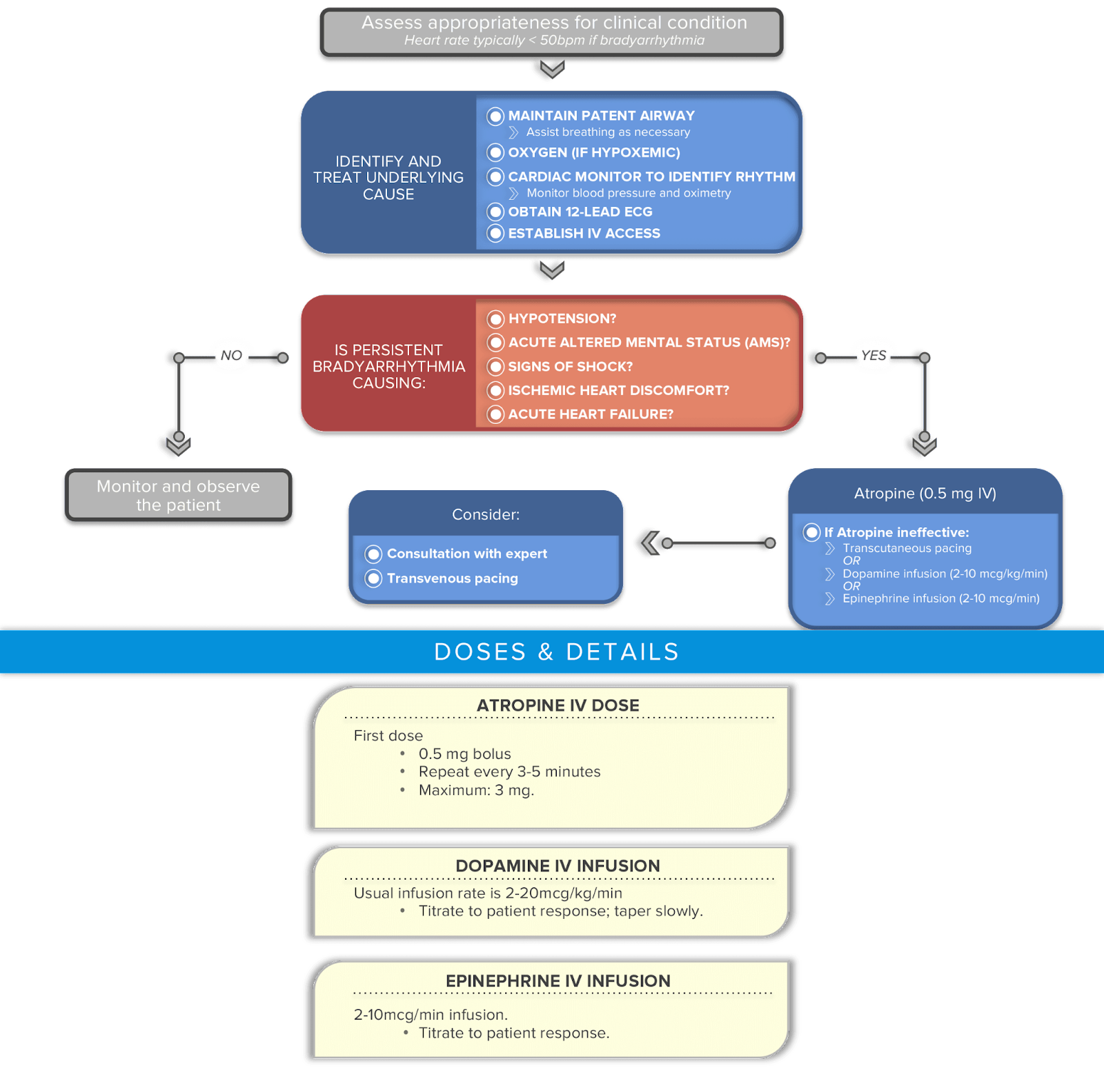 Bradycardia with a pulse algorithm review.