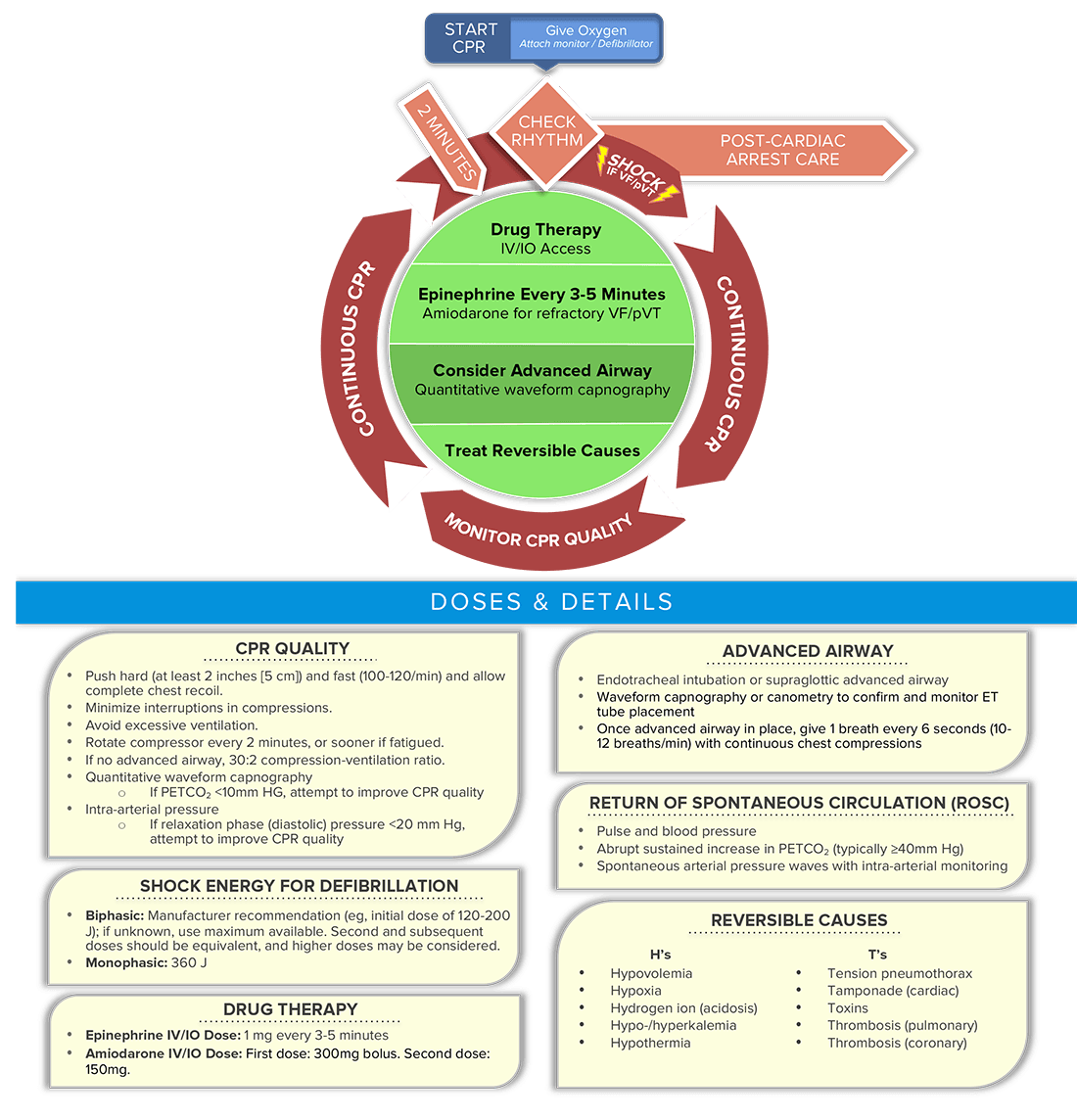 Cardiac arrest circular algorithm review