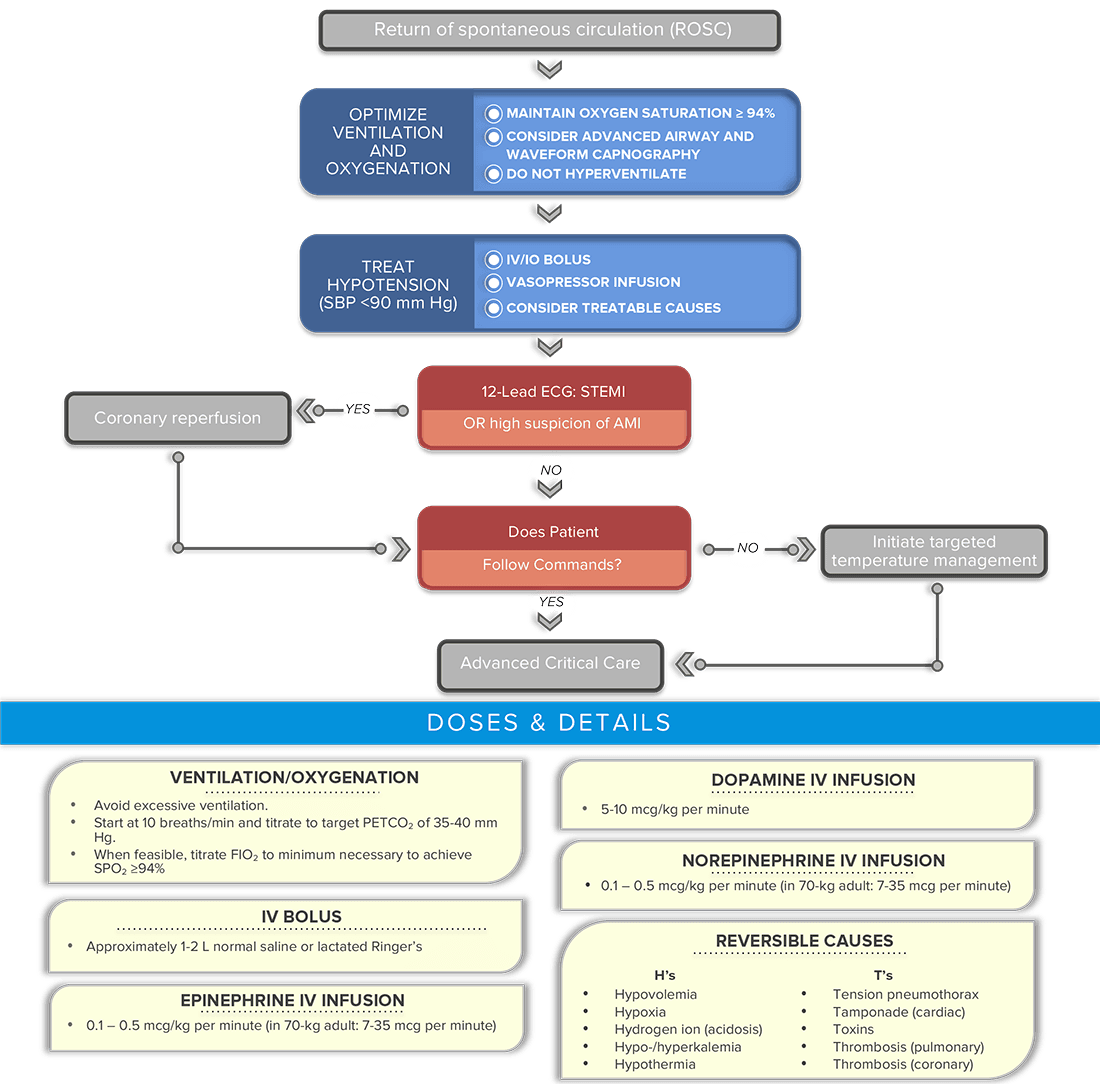 Post-cardiac arrest care algorithm review